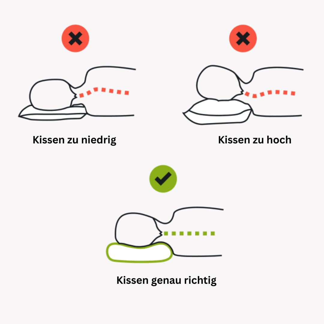 Oreiller orthopédique OrthoDream®